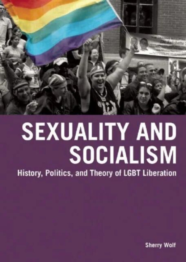 Sexuality & Socialism av Sherry Wolf