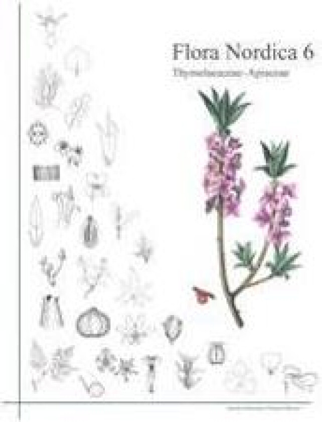 Flora Nordica 6