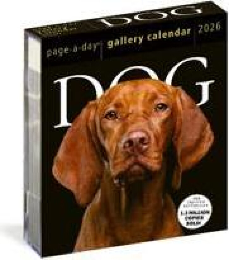 Dog Page-A-Day® Gallery Calendar 2026
