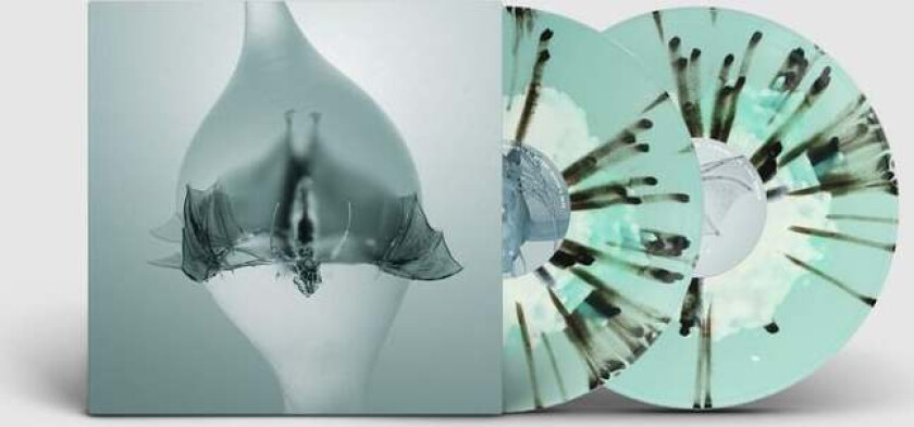 LP - Angel - Unisex - standard