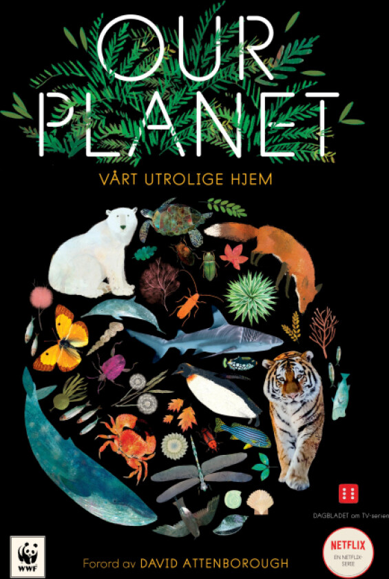 Our planet av Matt Whyman