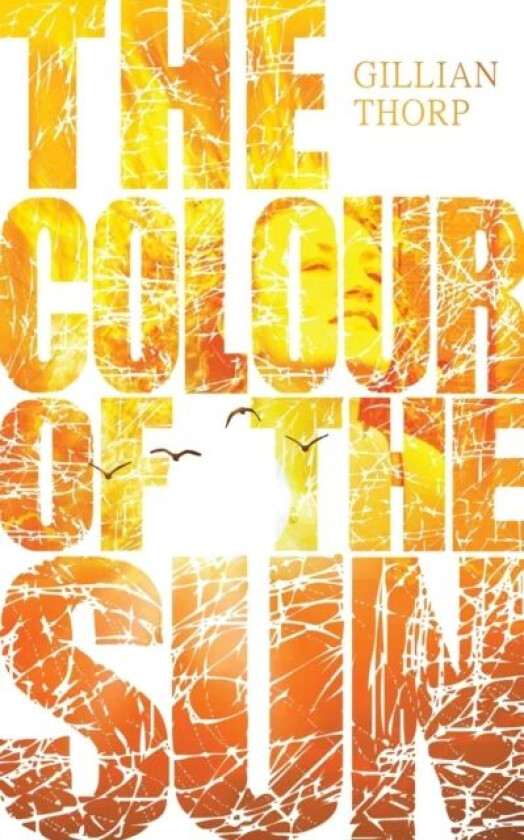 The Colour of the Sun av Gillian Thorp