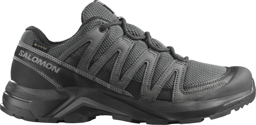 Men's X-Adventure Recon GORE-TEX Asphalt/castlerock/black