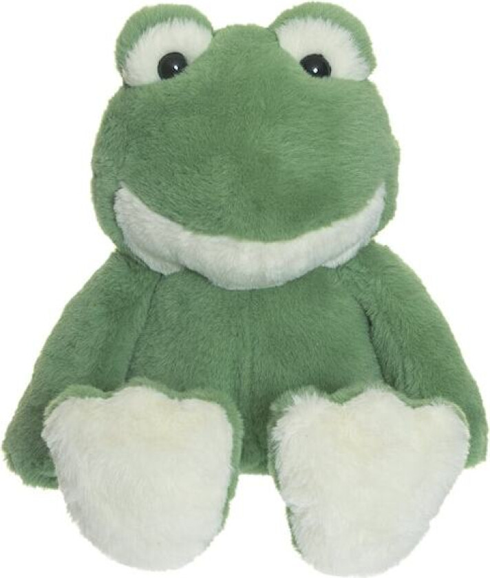 Frosken Göran Teddykompaniet