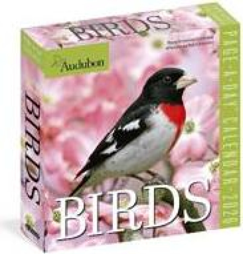 Audubon Birds Page-A-Day® Calendar 2026