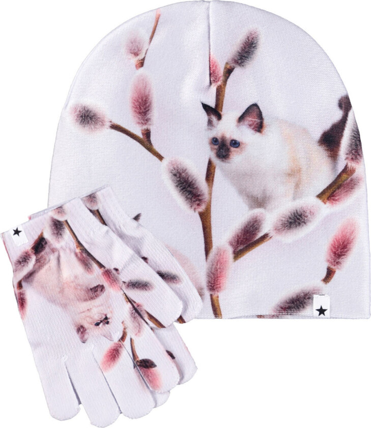 Kaya Sett Med Lue Og Hansker Willow Cat Willow Cat 7-12 Y Rosa 7-12 år kvinne