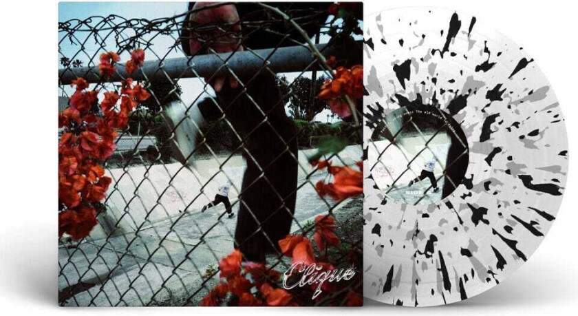 The Clique In Lives That Won't Last LP/Vinyl