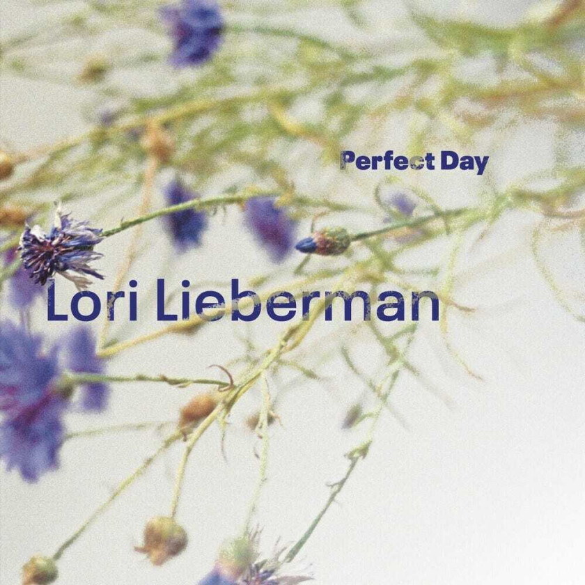 Lori Lieberman Perfect Day LP/Vinyl