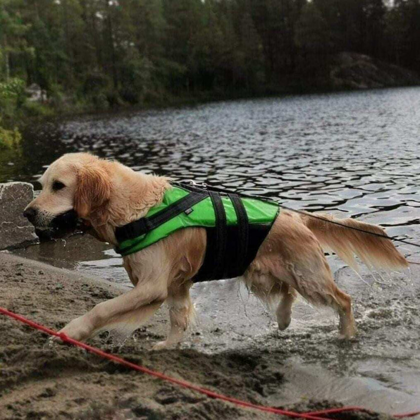 Rukka Flytevest Redningsvest Hund - XLarge - Grønn