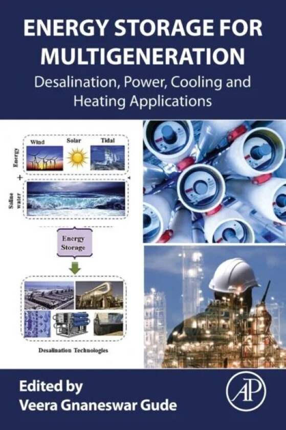 Energy Storage for Multigeneration