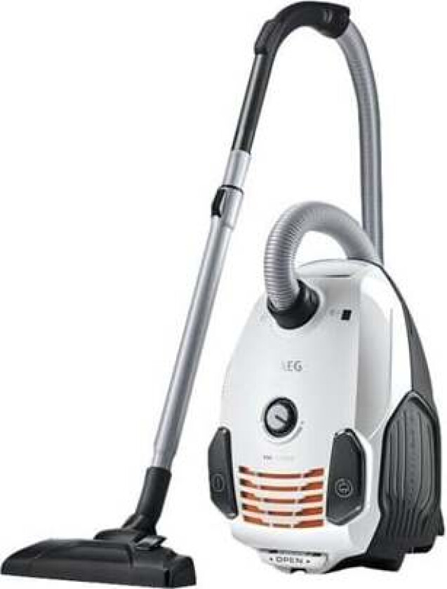 Støvsuger X Force VX6-2-IW-5 - vacuum cleaner - canister - ice white