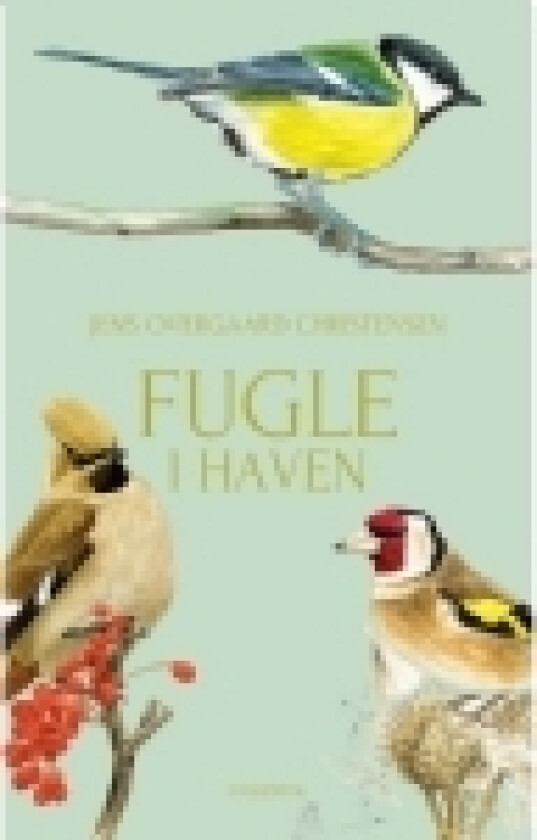 Fugle i haven | Jens Overgaard Christensen | Språk: Dansk