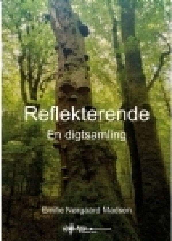 Reflekterende | Emilie Nørgaard Madsen | Språk: Dansk