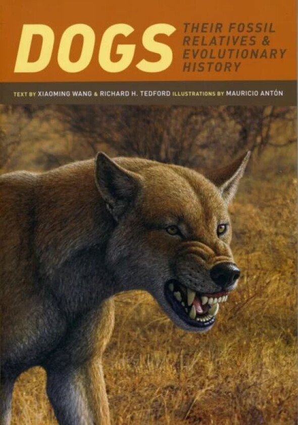 Dogs av Xiaoming Wang, Richard H. Tedford