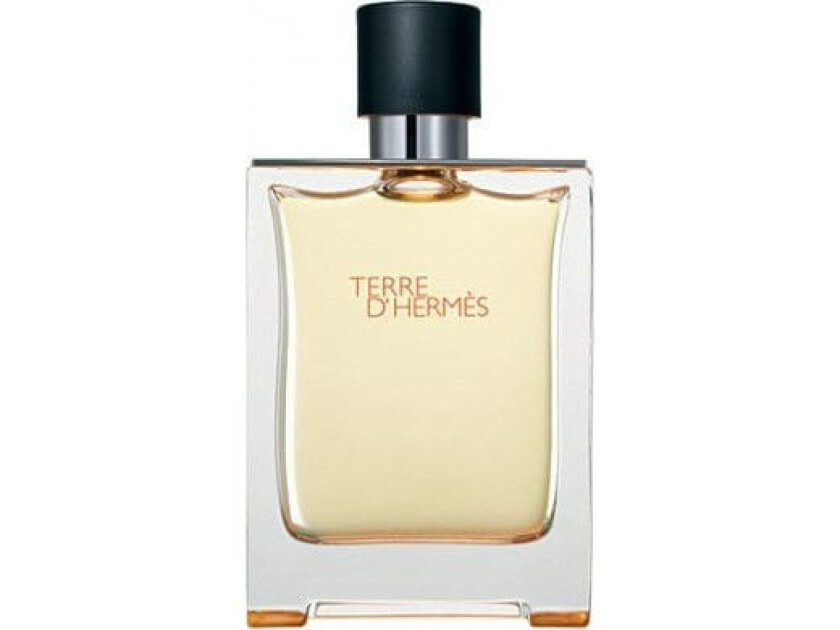 Terre d'Hermès Eau de Toilette (Størrelse: 50 ML)