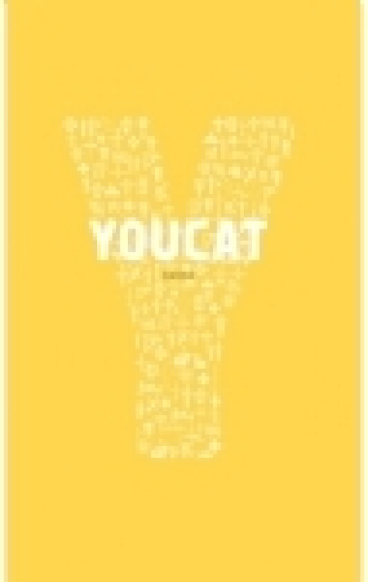 YOUCAT dansk | Johannes zu Eltz, Michael zu Heereman, Bernhard Meuser, Christian Schmitt | Språk: Dansk