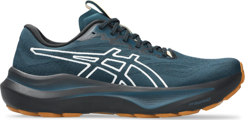 Asics Men's GT-2000 14 TR Nature Bathing/Tranquil Teal