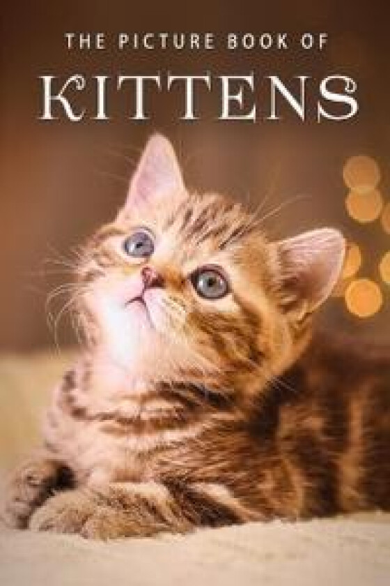 The Picture Book of Kittens