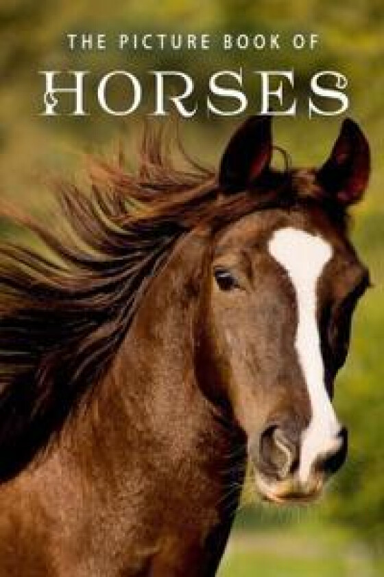 The Picture Book of Horses