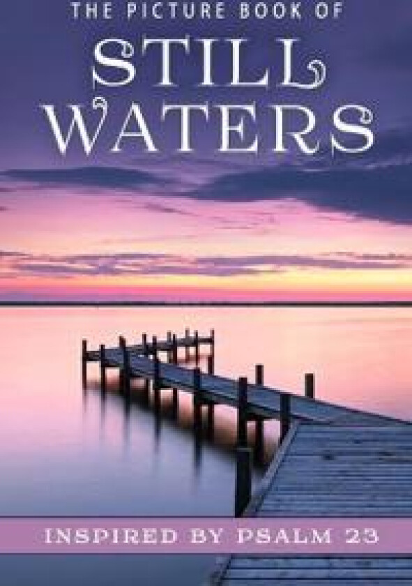 The Picture Book of Still Waters
