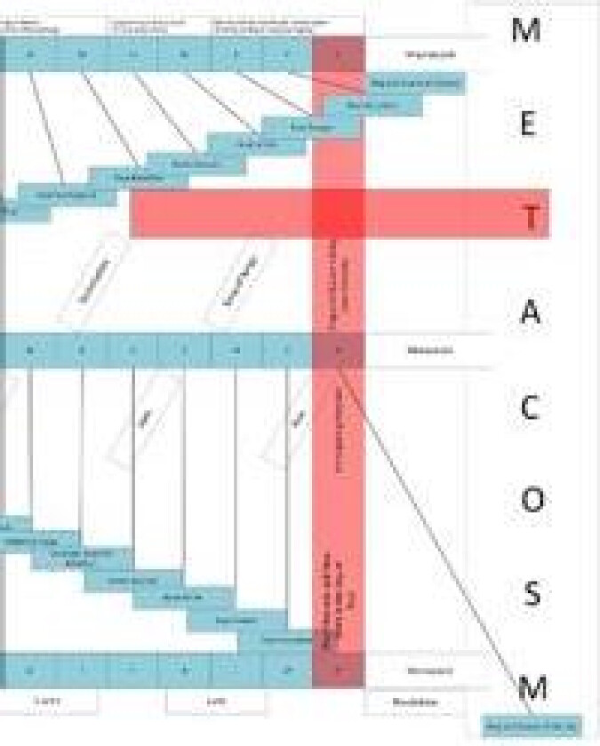 Metacosm
