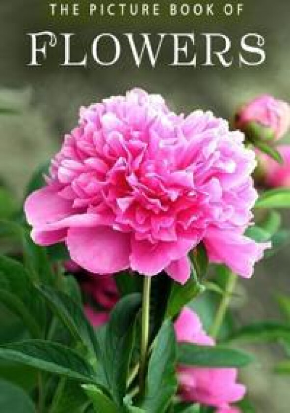 The Picture Book of Flowers