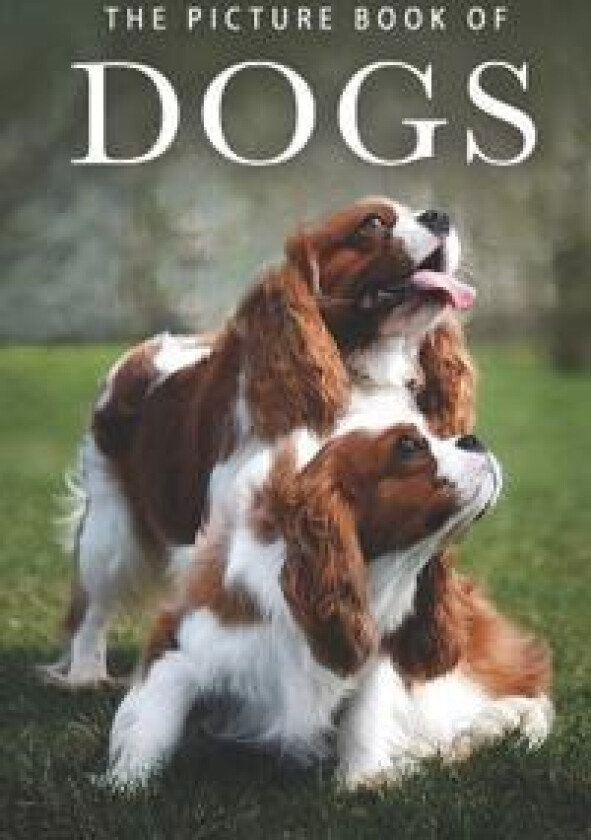 The Picture Book of Dogs