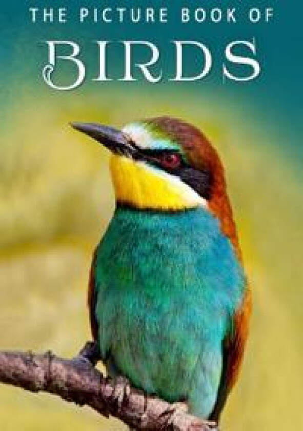 The Picture Book of Birds