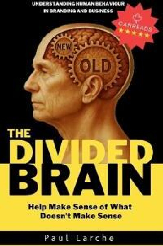 The Divided Brain