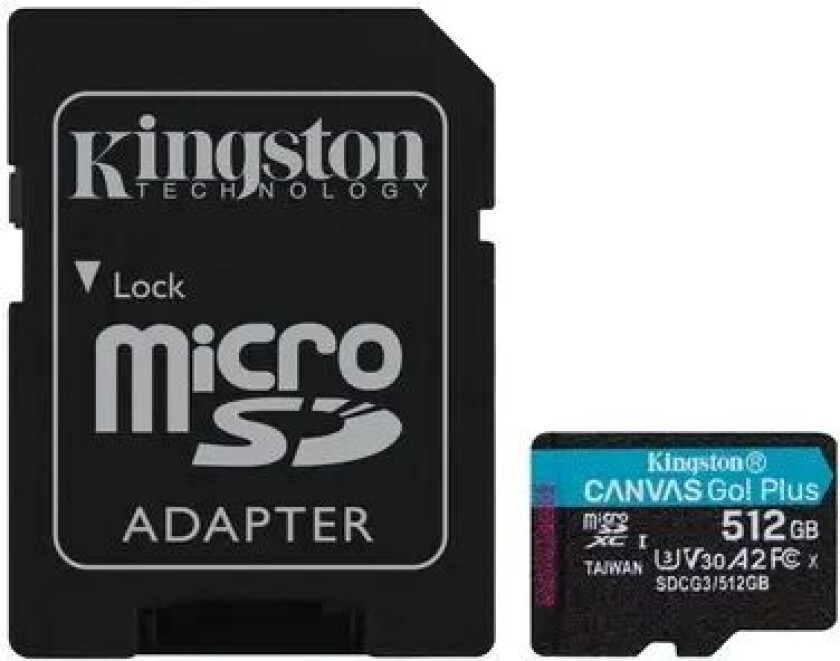 Canvas Go! Plus 512gb Microsdxc Uhs-i Memory Card