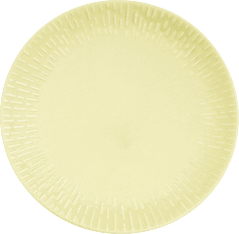 - Life in Colour - Confetti - Lemon dinner plate w/relief porcelain (13303)