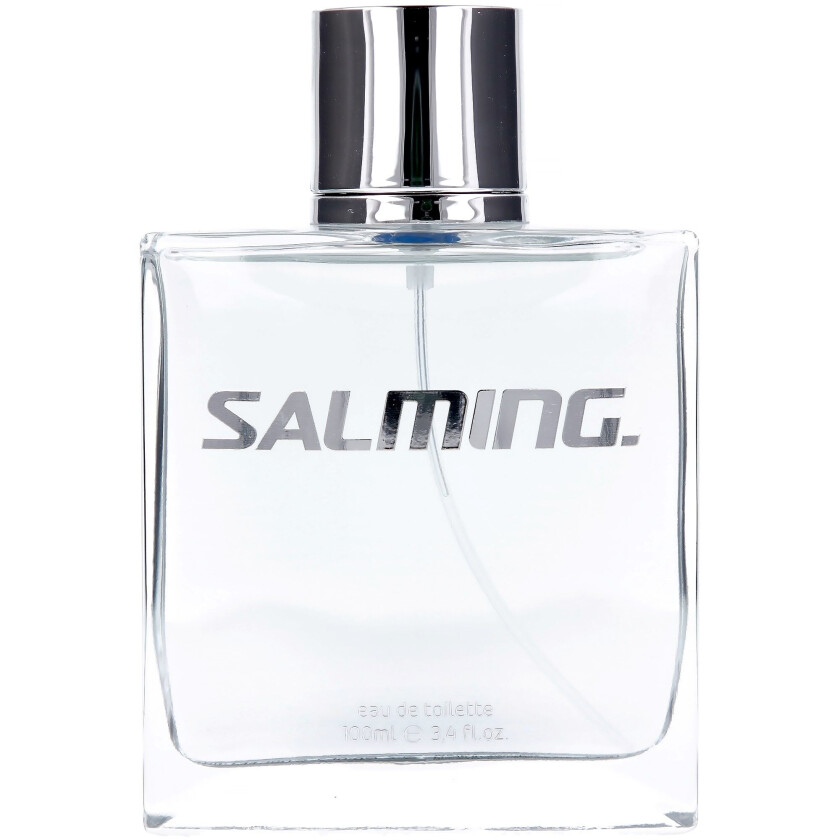Silver EdT 100 ml