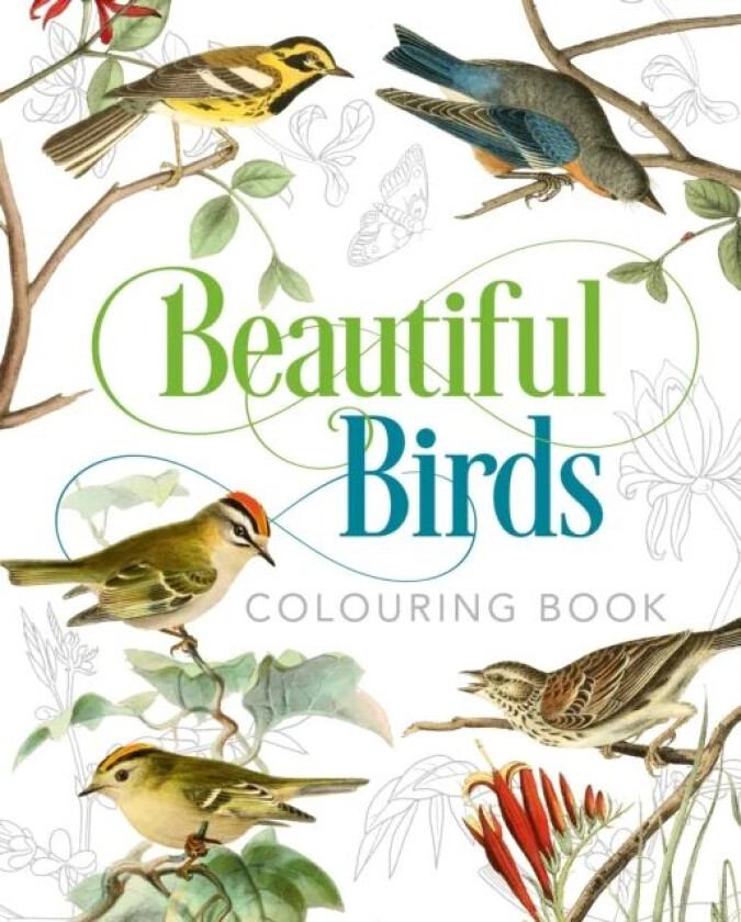 Beautiful Birds Colouring Book av Peter Gray