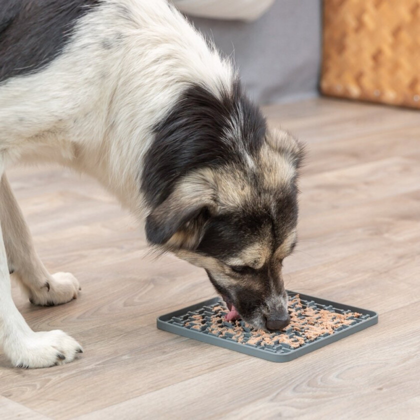 Lick'n'Snack Slickmatta Grå 20 cm