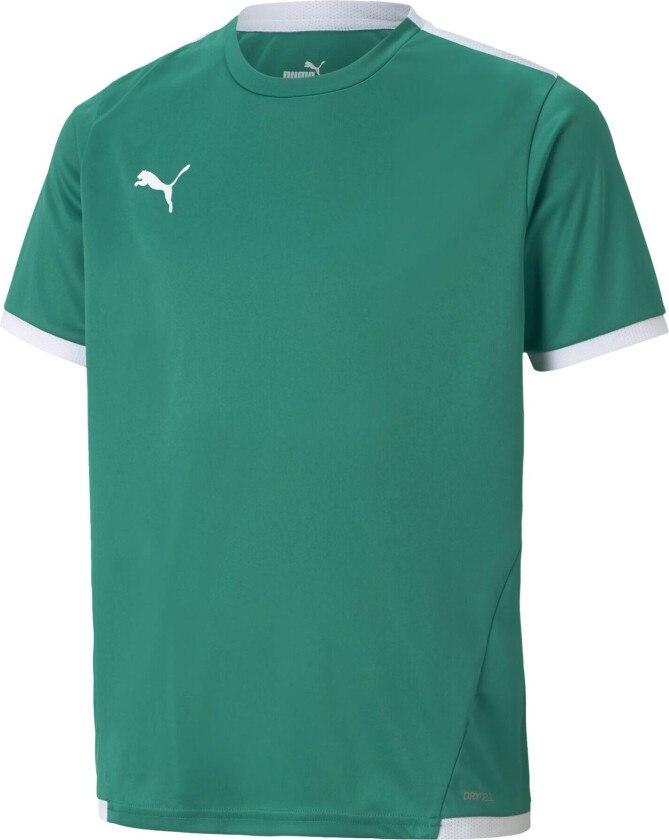 Spillerdrakt teamLIGA - Grønn/ White Barn, størrelse 116 cm