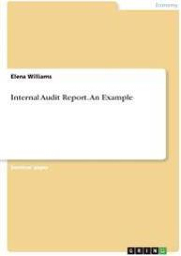 Internal Audit Report. an Example