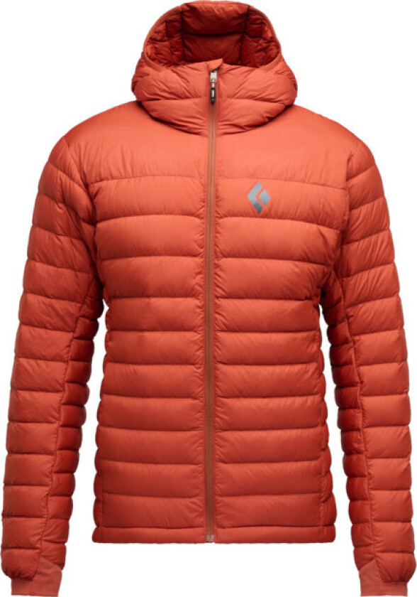 Men's Access Down Hoody Burnt Sienna