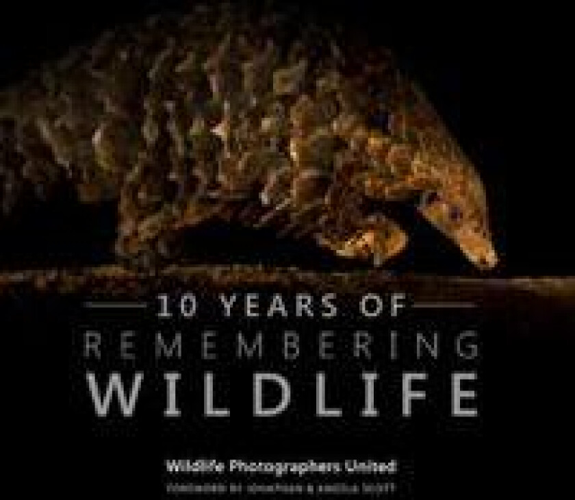 Ten Years of Remembering Wildlife