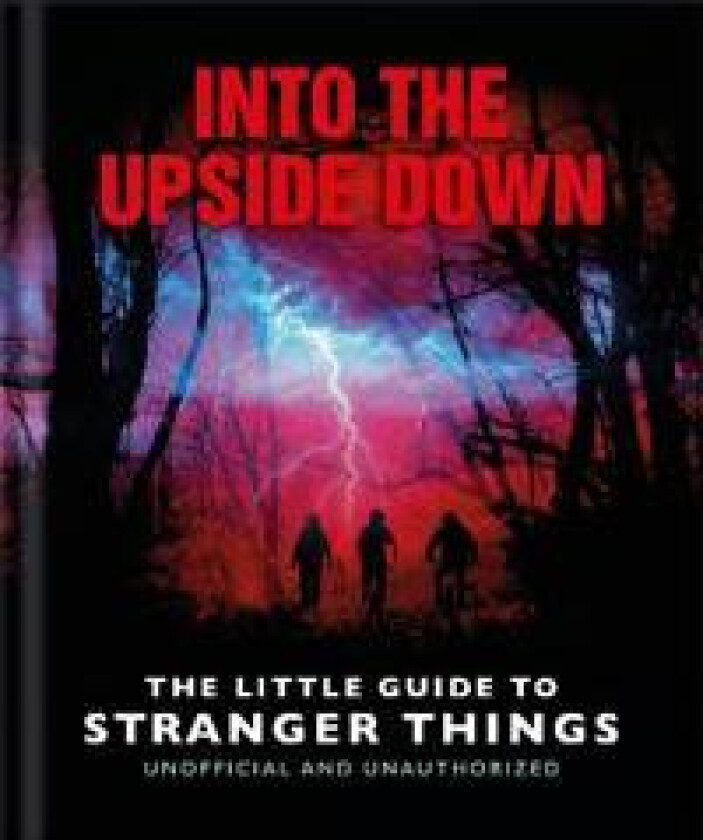 Into the Upside Down: The Little Guide to Stranger Things