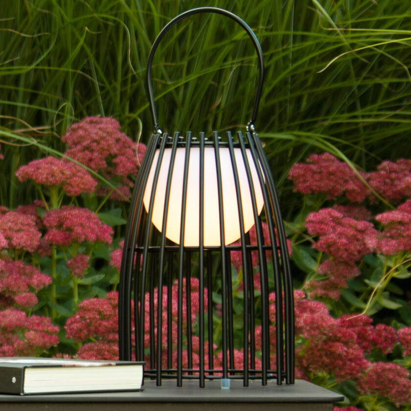 LED-bordlampe Fjara, svart