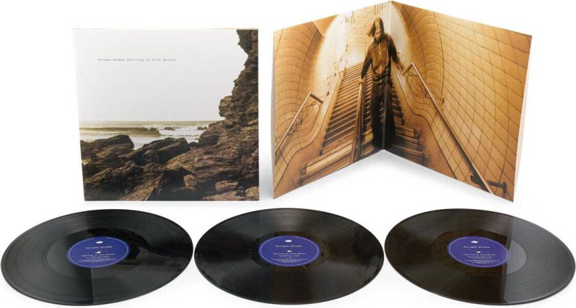 Polygon Window, Aphex Twin Surfing On Sine Waves LP/Vinyl