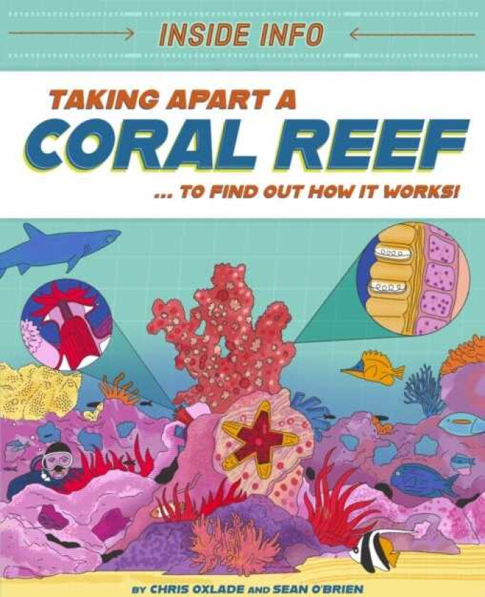 Inside Info: Taking Apart a Coral Reef ... to find out how it works!