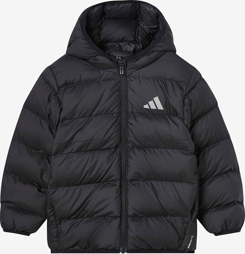 Jakke LK SD Jkt - Svart