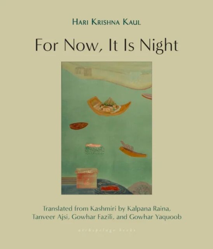 For Now, It Is Night av Hari Krishna Kaul, Kalpana Raina, Tanveer Ajsi