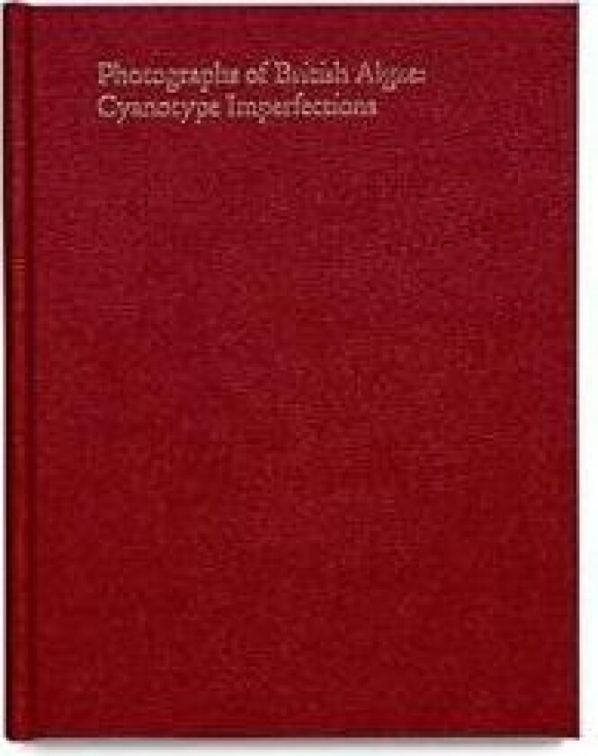 Cyanotype Imperfections