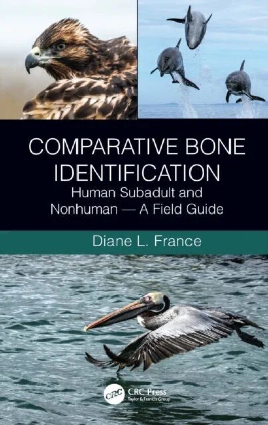 Comparative Bone Identification av Diane L. (Colorado State University Fort Collins USA) France