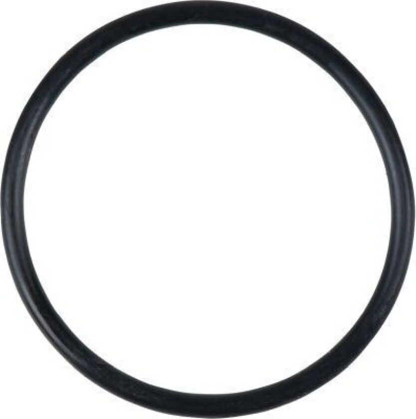 515.1980-R019P Utvalg, O-ring