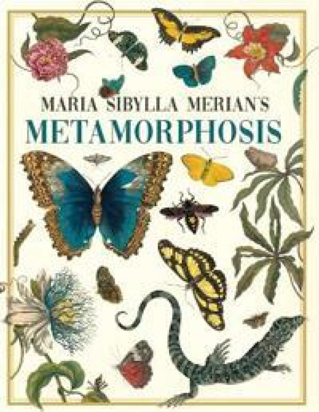 Maria Sibylla Merian's Metamorphosis