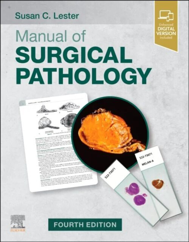 Manual of Surgical Pathology av Susan C. (Associate Pathologist Former Chief of Breast Pathology Services Brigham and Women's Hospital Assistant