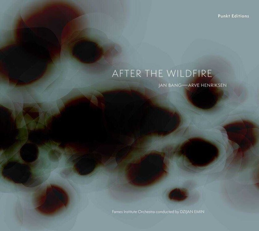 Jan Bang, Arve Henriksen After the wildfire CD